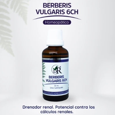 BERBERIS 50 ml.