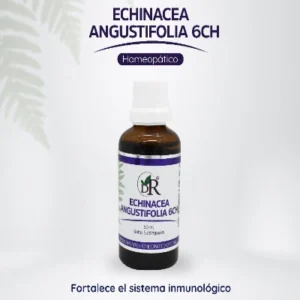 ECHINACEA 50 ml.