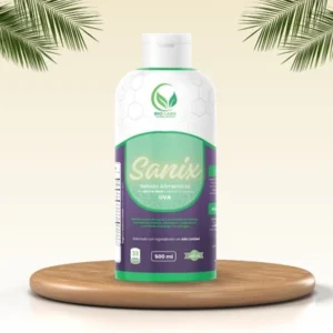 Sanix